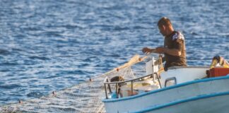 ARGOS: Istra osniva Centar za razvoj ribarstva i akvakulturu