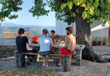 Pogledajte kako Elvis Fekete i njegovi volonteri beru masline na brdu iznad Mirne