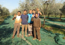 Agroistra na najboljem maslinarskom imanju na svijetu te u Puli na Danima poljoprivrede ribarstva i šumarstva