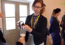 Agroistra na Festivalu pjenušaca u Višnjanu i Ljetnom festivalu supe u Rovinju