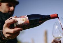 Teran Bertoša najbolji u jugoistočnoj Europi: Istra osvojila vrh Decanterove vinske ljestvice