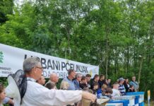 Zlatna godina za porečke pčelare: urbani pčelinjaci donijeli 150 kilograma bršljanovog meda