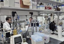 Analize tla važne za poticaje i zakup državnog zemljišta